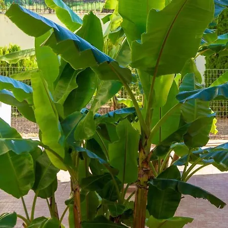 Panorama Апарт-отель Полихроно